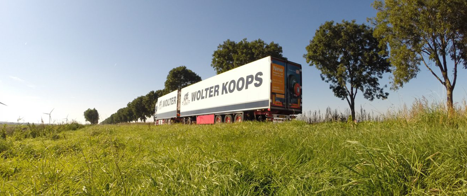 Wolter Koops